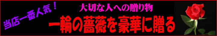 ��̓����K�N�𑡂�