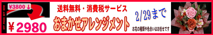 �L�����y�[���A�����W2980
