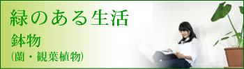 ����(���E�ϗt�A��)