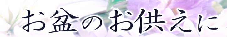 ���~�Q�O�P�O
